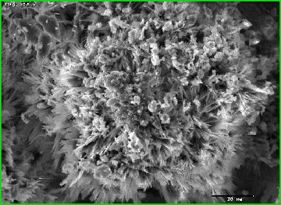 Electron Microscope image with rough surface
